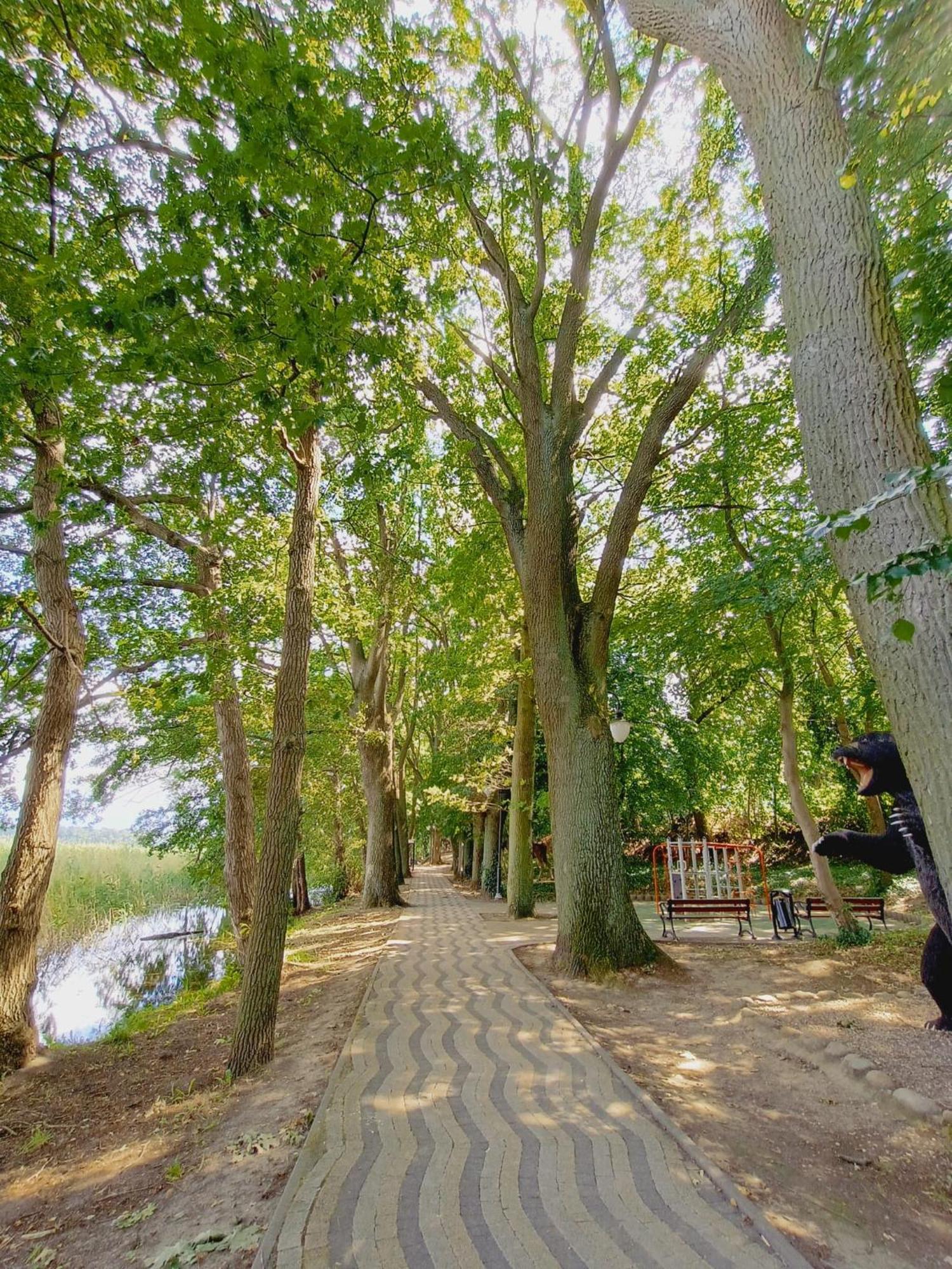 Domki Obok Plazy Moryn Dış mekan fotoğraf