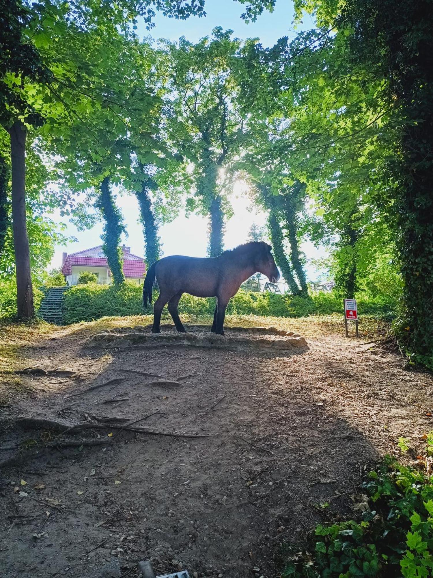 Domki Obok Plazy Otel Moryn Dış mekan fotoğraf