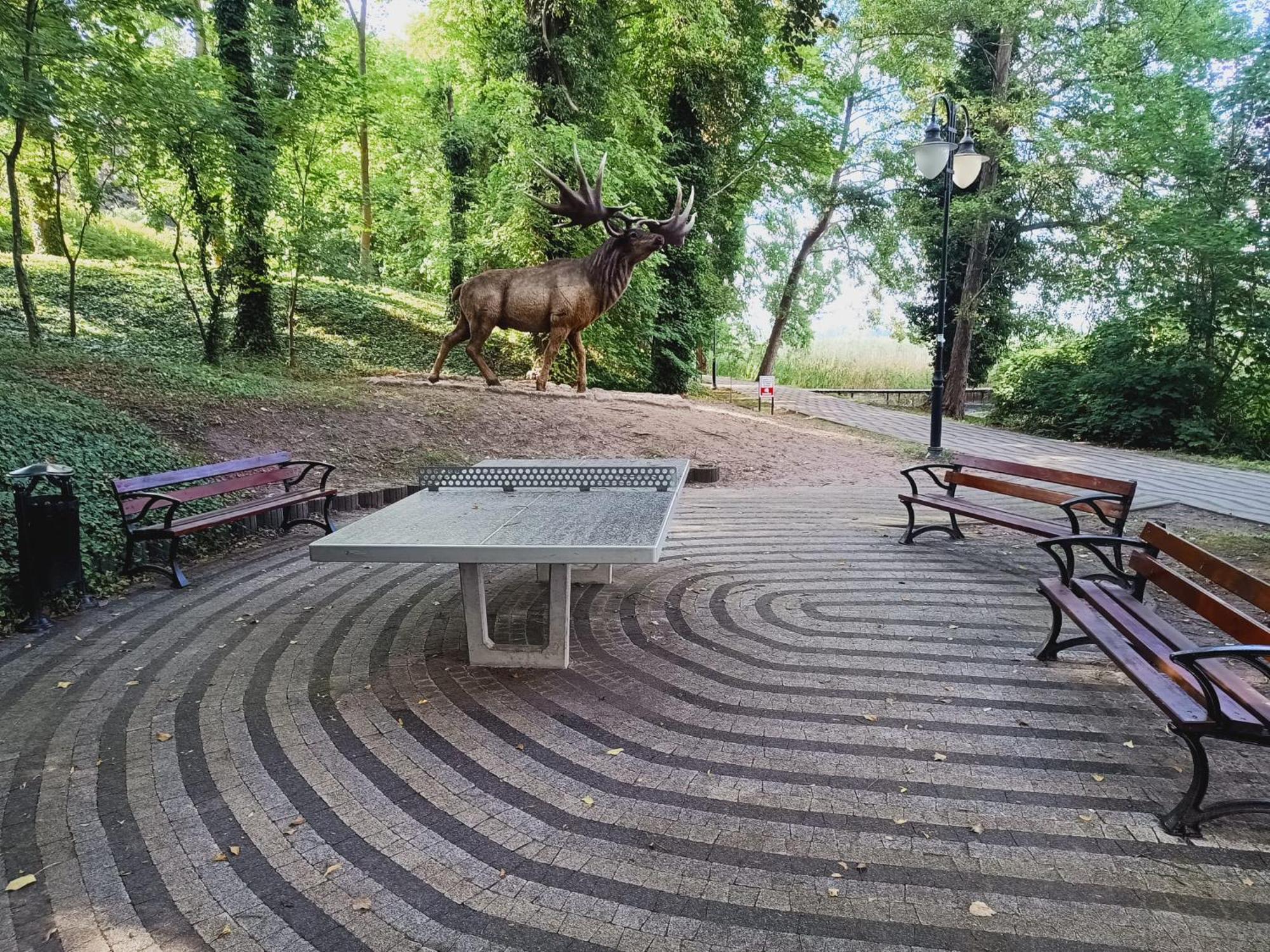 Domki Obok Plazy Otel Moryn Dış mekan fotoğraf